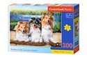 Puzzle 200 Owczarki szetlandzkie w lawendowym ogrodzie B-222117 - 