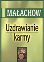 Uzdrawianie Karmy - Giennadij Małachow