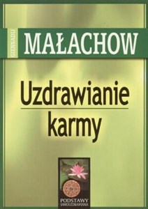 Uzdrawianie Karmy - Giennadij Małachow