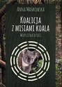 Koalicja z misiami koala Wiersze dla dzieci