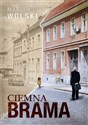 Ciemna brama - Marcin Wolski