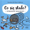 Co się stało? Straszny bałagan - Karolina Lijklema, Hans Lijklema