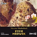 [Audiobook] Życie mrówek - Maurice Maeterlinck