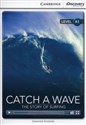 Catch a Wave: The Story of Surfing Beginning B