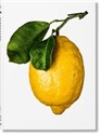 The Gourmand's Lemon A Collection of Stories and recipes