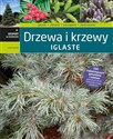 Drzewa i krzewy iglaste - Lucjan Kurowski