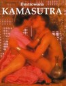 Ilustrowana kamasutra - Roger Baker