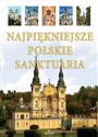 Najpiekniejsze Polskie Sanktuaria - Teofil Krzyżanowski