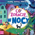 Co zobaczę w nocy Oglądaj, wskazuj, zapamiętu