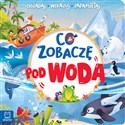 Co zobaczę pod wodą Oglądaj, wskazuj, zapamiętuj - Sylwia Kajdana