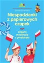 Niespodzianki z papierowych czapek czyli origami modułowe z prostokąta - Dorota Dziamska