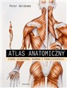 Atlas anatomiczny Ciało człowieka: budowa i funkcjonowanie