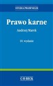 Prawo karne