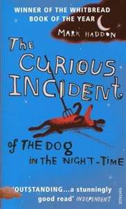 Curious Incident of the Dog in Night-Time