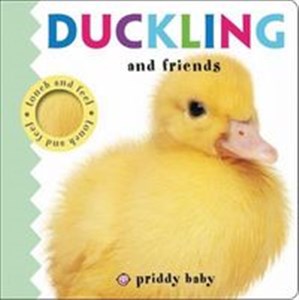 Duckling and Friends Touch and Feel