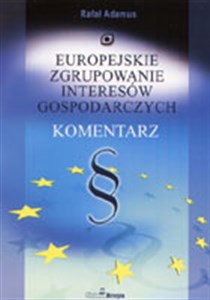 Europejskie zgrupowanie interesów gospodarczych. Komentarz