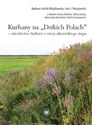 Kurhany na Dzikich Polach dziedzictwo kultury i ostoja ukraińskiego stepu