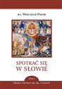 Spotkać się w słowie. Tom 7 Okres zwykły 29. - 34. tydzień - Wojciech Pikor