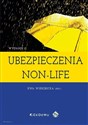 Ubezpieczenia non-life  - 