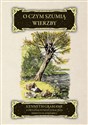 O czym szumią wierzby - Kenneth Grahame