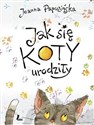 Jak się koty urodziły