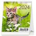 Kalendarz 2024 biurkowy Mini Kotki miesięczny 