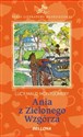 Ania z Zielonego Wzgórza - Lucy Maud Montgomery