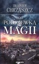 Pod podszewką magii