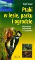 Ptaki w lesie parku i ogrodzie