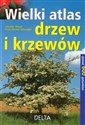 Wielki atlas drzew i krzewów