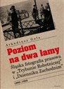 Poziom na dwa łamy Śląska fotografia prasowa w "Trybunie Robotniczej" i "Dzienniku Zachodnim" - Arkadiusz Gola