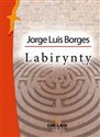 Borges i hebrajscy przyjaciele Labirynty Nowa antologia / Dawidowa harfa Pakiet