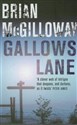 Gallows Lane - Brian McGilloway