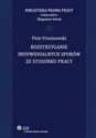 Rozstrzyganie indywidualnych sporów ze stosunku pracy - Piotr Prusinowski