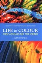 Life in Colour How Animals See the World