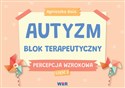 Autyzm Blok terapeutyczny Percepcja wzrokowa cz.2 