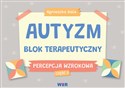Autyzm Blok terapeutyczny Percepcja wzrokowa cz.3 
