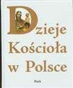 Dzieje Kościoła w Polsce - 