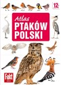 Atlas ptaków Polski 