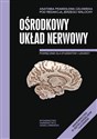 Anatomia Prawidłowa Człowieka Ośrodkowy układ nerwowy Podręcznik dla studentów i lekarzy - Jerzy Walocha (red.)