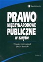Prawo międzynarodowe publiczne w zarysie - Wojciech Góralczyk, Stefan Sawicki