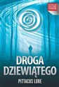 Droga Dziewiątego