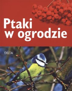 Ptaki w ogrodzie