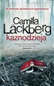 Kaznodzieja Tom 2 - Camilla Läckberg