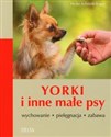 Yorki i inne małe psy wychowanie pielęgnacja zabawa - Heike Schmidt-Roger