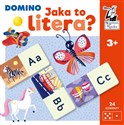 Jaka to litera? Domino Kapitan Nauka