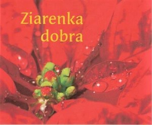 Perełka 173 - Ziarenka dobra - Księgarnia UK