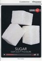 Sugar: Our Guilty Pleasure Low Intermediate Book with Online Access