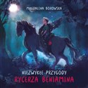 Niezwykłe przygody rycerza Beniamina - Magdalena Borowska