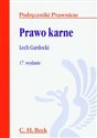 Prawo karne